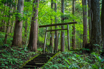 戸隠神社宝光社　境内の小さな鳥居