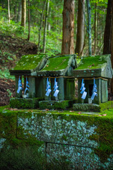 戸隠神社宝光社　境内に並んだ小さな祠