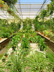 Garden center
