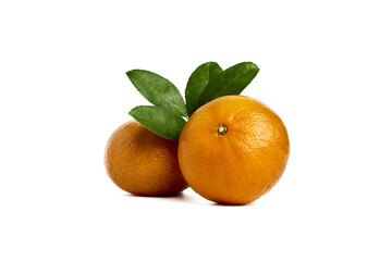 Orange fruit with orange leaves