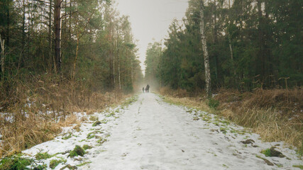 Waldweg, Nebel, Spaziergänger, Winter, Herbst