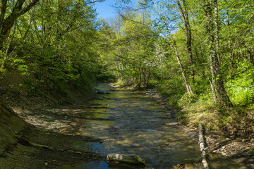 Obraz premium The North Caucasus. Mountain river Zhane in the springtime. Aerial view.