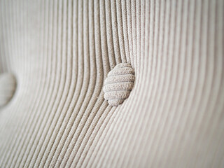 Light beige velour textile pattern with buttons. Furniture sofa cover.