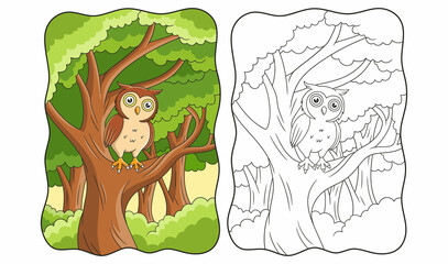 cartoon illustration the owl is above a large and shady tree during the day book or page for kids
