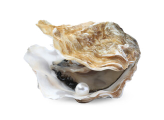 Open oyster with pearl isolated on white