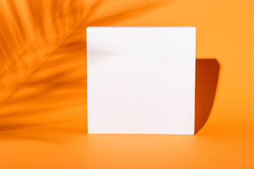 Empty square composition with tropical palm tree shadow background. Orange thanksgiving minimal...