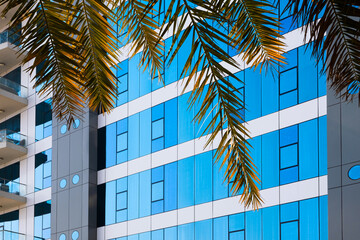 A modern office or hotel building with a mirrored blue facade surrounded by palm trees.