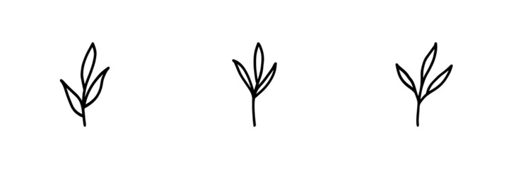 Set of 3 plant icons on white background.