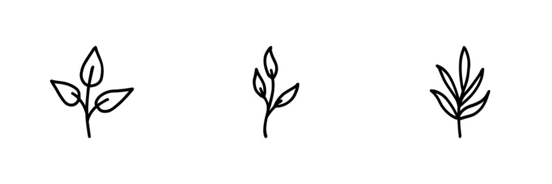 Set Of 3 Black Plant Icons.