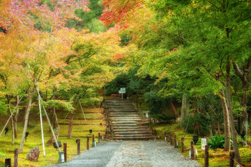 秋の京都、高台寺の境内の紅葉
