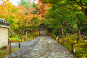 Fototapeta na wymiar 秋の京都、高台寺の境内の紅葉