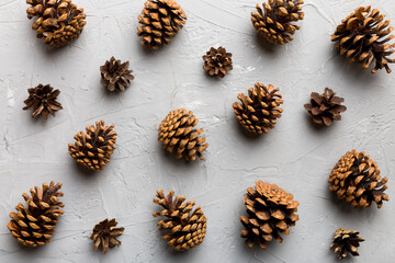 pine cones on colored table. natural holiday background with pinecones grouped together. Flat lay. Winter concept
