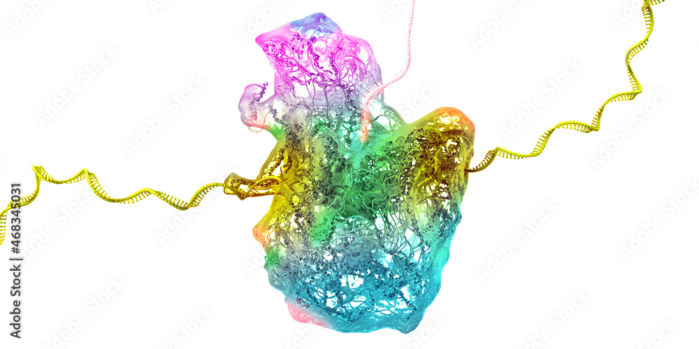 Wall mural Ribosome as part of an biological cell constructing messenger rna molecules - 3d illustration