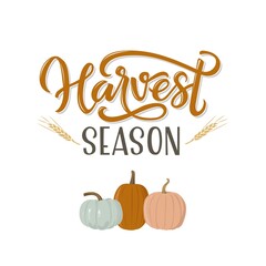 Fototapeta na wymiar Autumn lettering Harvest Season with pumpkin drawing. Modern brush calligraphy. Handwritten vector illustration isolated on white background for cards, posters, banners, logo, tags.