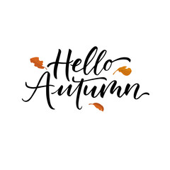 Vector lettering illustration of 