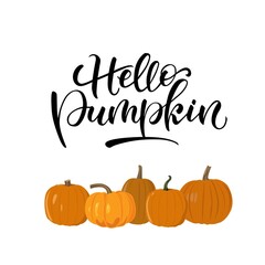 Vector lettering illustration of Hello pumpkin on white background. Pumpkin illustration. Calligraphy for poster, background, postcard, banner.