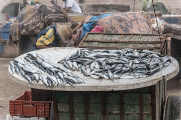 Sardinen am Fischmarkt in Essaouira, Marokko