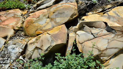 A break of a stone, smooth, rock of yellow, gray, beige color among the green branches of a bush. The photo can be used as a background or wallpaper..