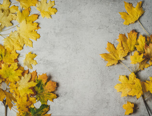 Naklejka na ściany i meble Yellow autumn leaves on pale grey concrete table . Seasonal fall background border with copy space. Top view.