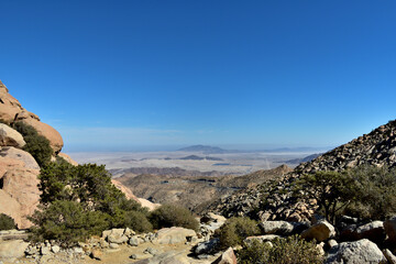 cactus, desert, green, rocks, sky