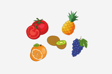  fruit illustration icon