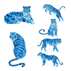 Flat set of cute blue tigers in various poses isolated on white vector illustration