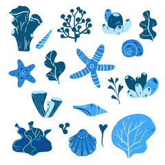 Set of sea shells and starfish on white background. Flat vector illustration.