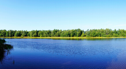 Sylvestersee in the Osterheide nature reserve near Schneverdingen. Landscape by the blue lake with green trees in the background.