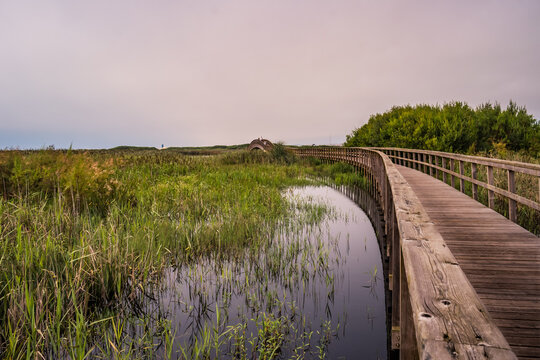 Wooden structure on the footbridges of Barrinha de Esmoriz with water from the Paramos lagoon, PORTUGAL