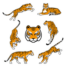 Tiger on white background Happy new year 2022 design vector illustration Tigers logotype