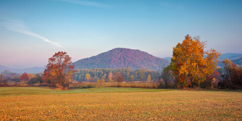 autumnal rural landscape at sunrise. beautiful mountainous countryside in late autumn season. empty fields. trees in red and orange foliage. hazy atmosphere