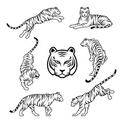 Tiger on white background Happy new year china 2022 design vector illustration Tigers logotype symbol