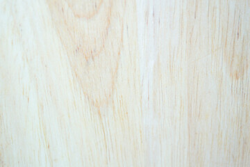 Fototapeta premium Light natural wood texture background