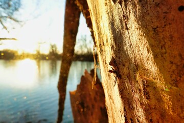 cave in the river image taken in Padova countryside, veneto , italy