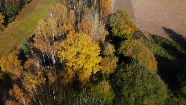 An aerial view of an autumnal forest and agricultural field in Coburg Bavaria, Germany