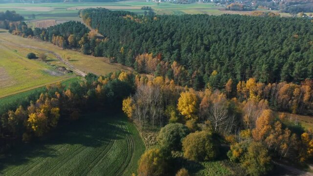 An aerial view of an autumnal forest and agricultural field in Coburg Bavaria, Germany