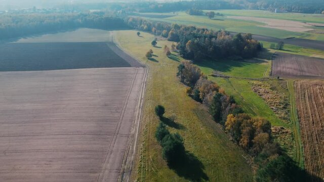 An aerial view of an autumnal forest and agricultural field in Coburg Bavaria, Germany