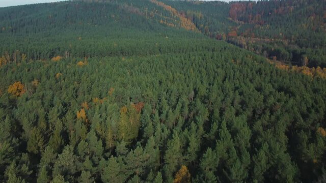 An aerial view of think forest landscape in Coburg Bavaria, Germany