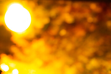 電球と紅葉