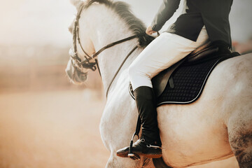 A white, fast, beautiful horse with a gray mane and a rider in the saddle gallops to meet the...