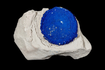 Macro mineral stone Azurite in siltstone against black background