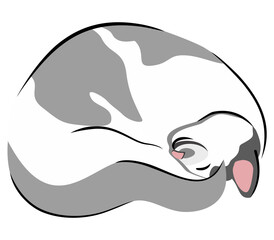 Vector isolated illustration of cat curled up in a ball. Line art with spots.