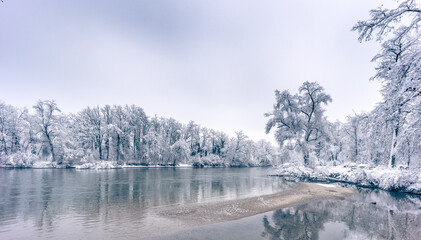 Verschneite Bäume am Fluss Reuss in Fischbach-Göslikon (Schweiz)  - obrazy, fototapety, plakaty