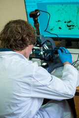 Scientist examines cannabis sativa mold through an electron microscope