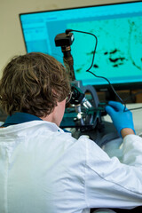 Scientist examines cannabis sativa mold through an electron microscope
