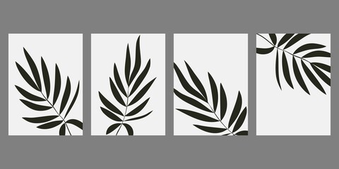 Silhouettes of plants and leaves. Set of abstract black and white minimalistic poster.