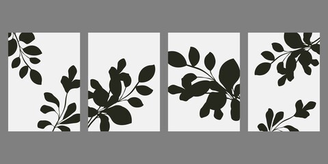 Silhouettes of plants and leaves. Set of abstract black and white minimalistic poster.