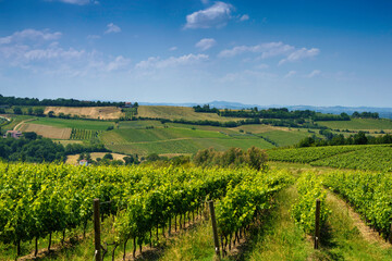 Fototapeta na wymiar Country landscape near Meldola and Bertinoro, Emilia-Romagna