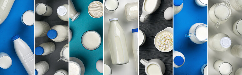 Collage of dairy products, milk, cream and cottage cheese