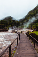 Wooden walkway between the fumaroles and the hot springs with mountains and forest in the background